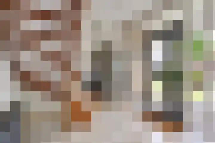 Kastanjelaan 14 Aadorp thumbnail 6
