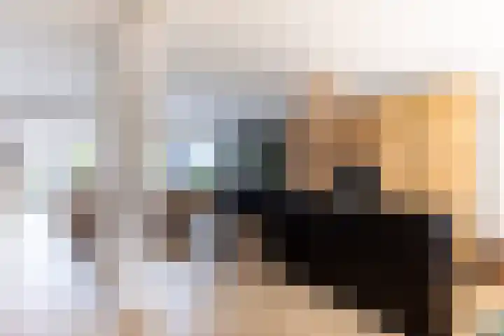 Kastanjelaan 14 Alkmaar thumbnail 10