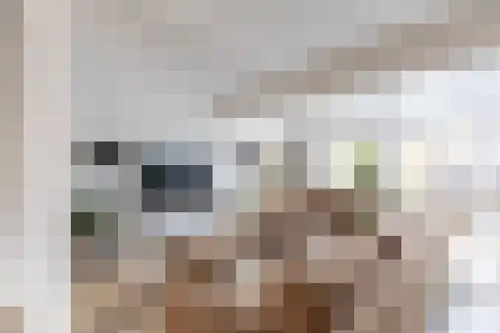 Kastanjelaan 14 Alkmaar thumbnail 13