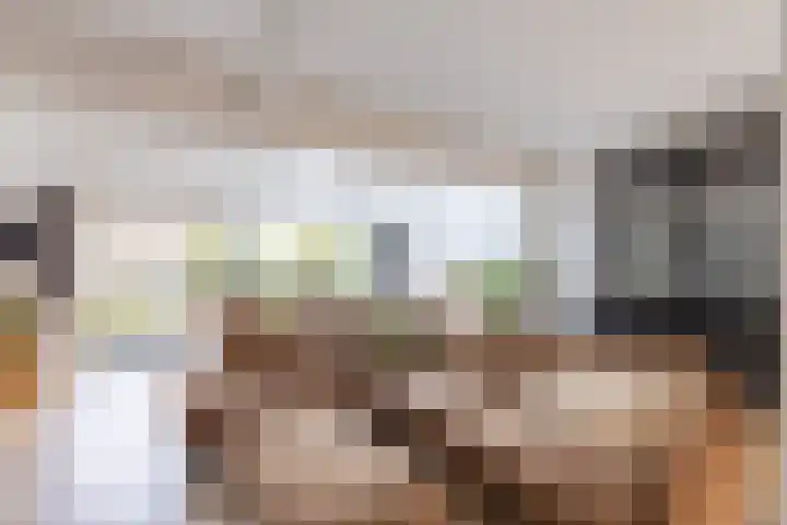 Kastanjelaan 14 Alkmaar thumbnail 14