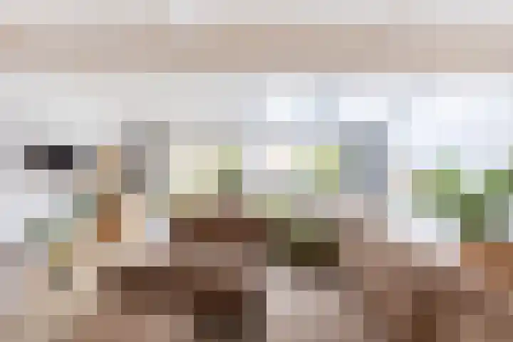 Kastanjelaan 14 Alkmaar thumbnail 15