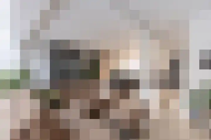 Kastanjelaan 14 Alkmaar thumbnail 16
