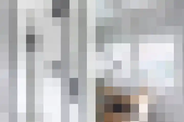 Kastanjelaan 14 Alkmaar thumbnail 28