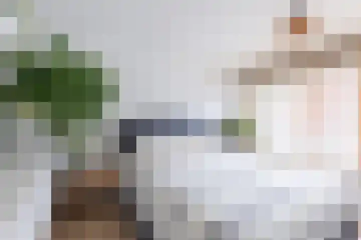 Kastanjelaan 14 Alkmaar thumbnail 30