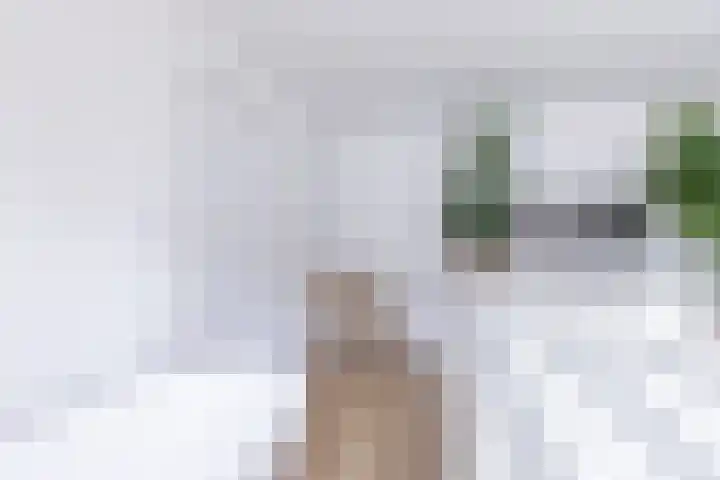 Kastanjelaan 14 Alkmaar thumbnail 35