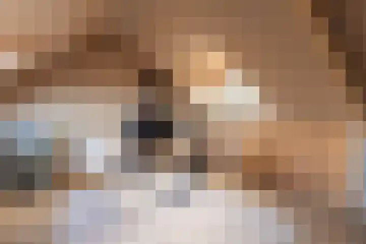 Kastanjelaan 14 Alkmaar thumbnail 36