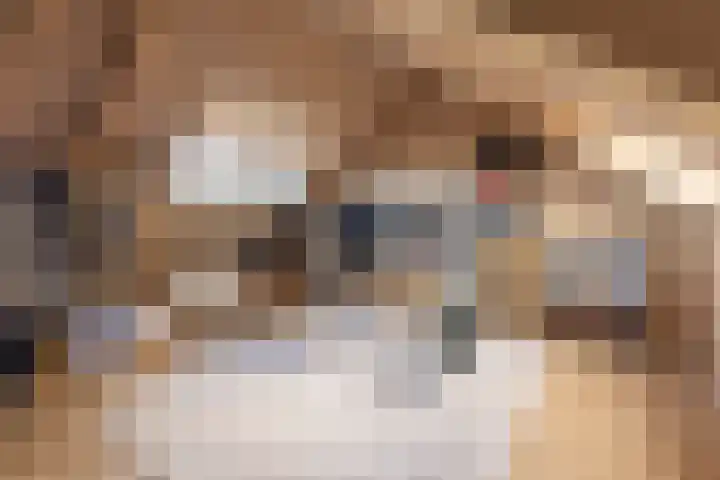 Kastanjelaan 14 Alkmaar thumbnail 37