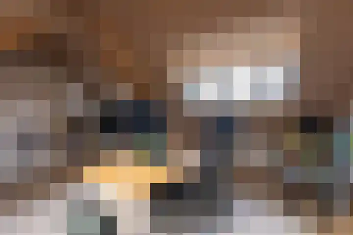 Kastanjelaan 14 Alkmaar thumbnail 39