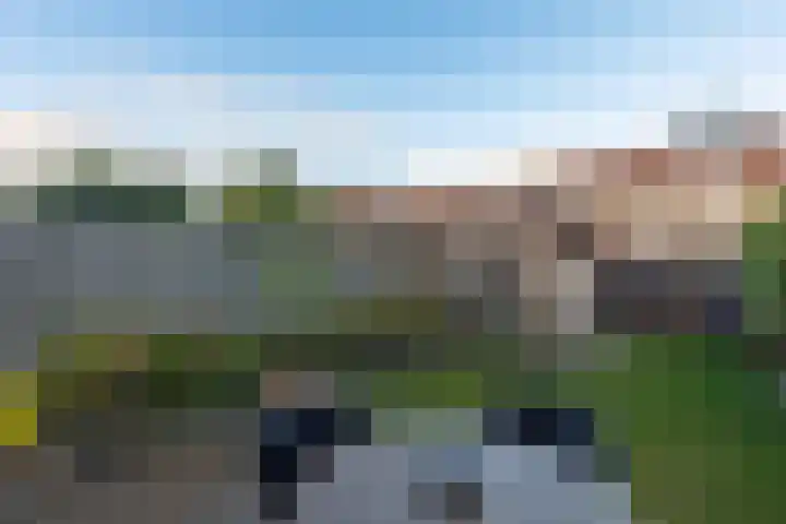 Kastanjelaan 14 Alkmaar thumbnail 41