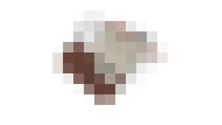 Kastanjelaan 14 Alkmaar thumbnail 54