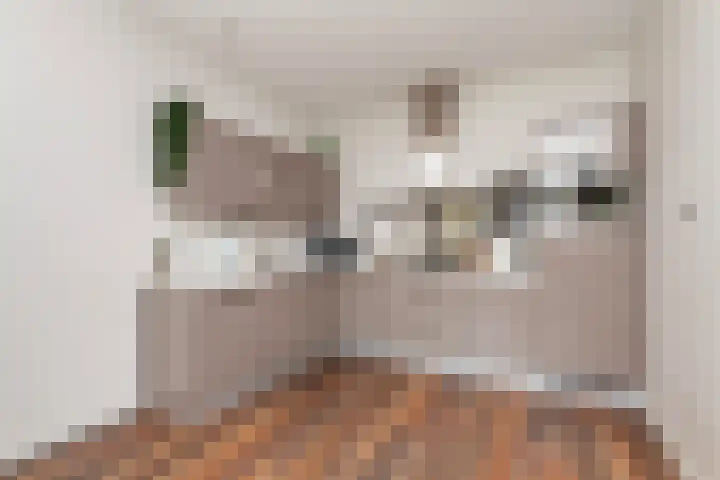 Kastanjelaan 14 c Ridderkerk thumbnail 12