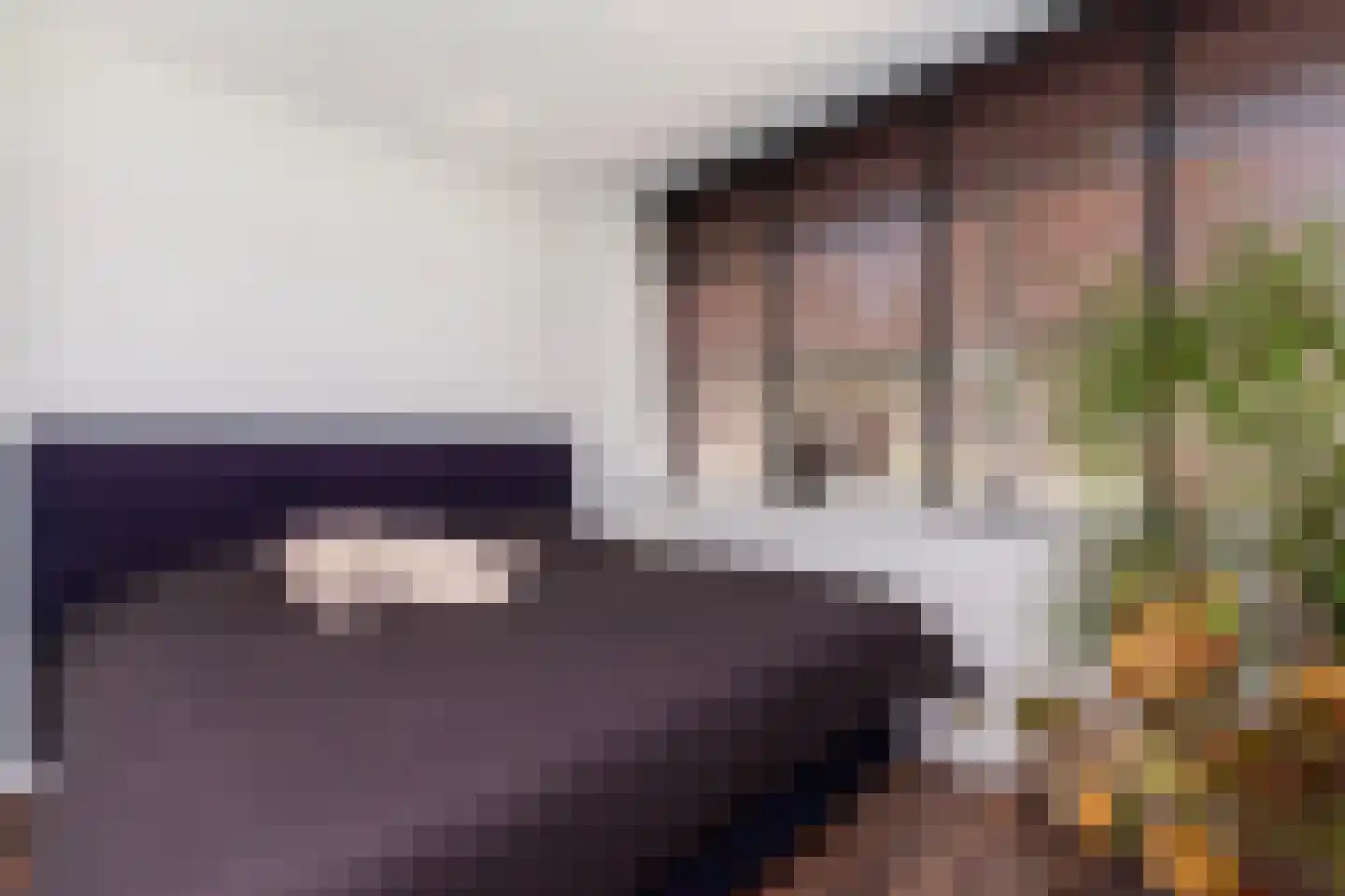 Kastanjelaan 14 c Ridderkerk thumbnail 15