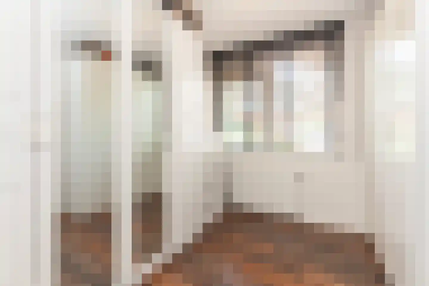 Kastanjelaan 14 c Ridderkerk thumbnail 19