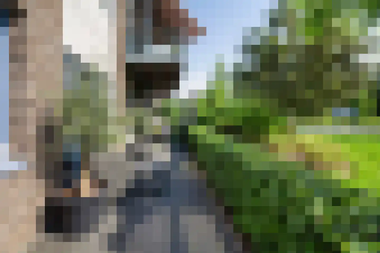 Kastanjelaan 14 c Ridderkerk thumbnail 24