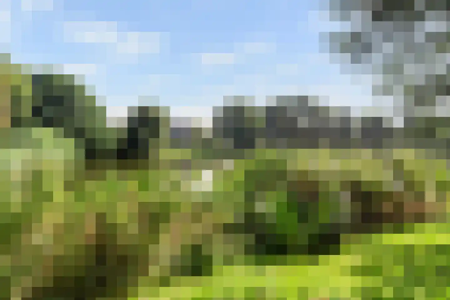 Kastanjelaan 14 c Ridderkerk thumbnail 38