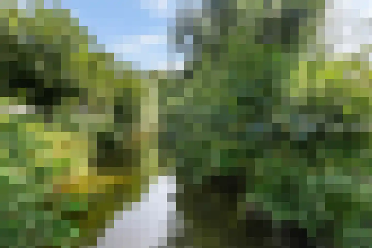 Kastanjelaan 14 c Ridderkerk thumbnail 39