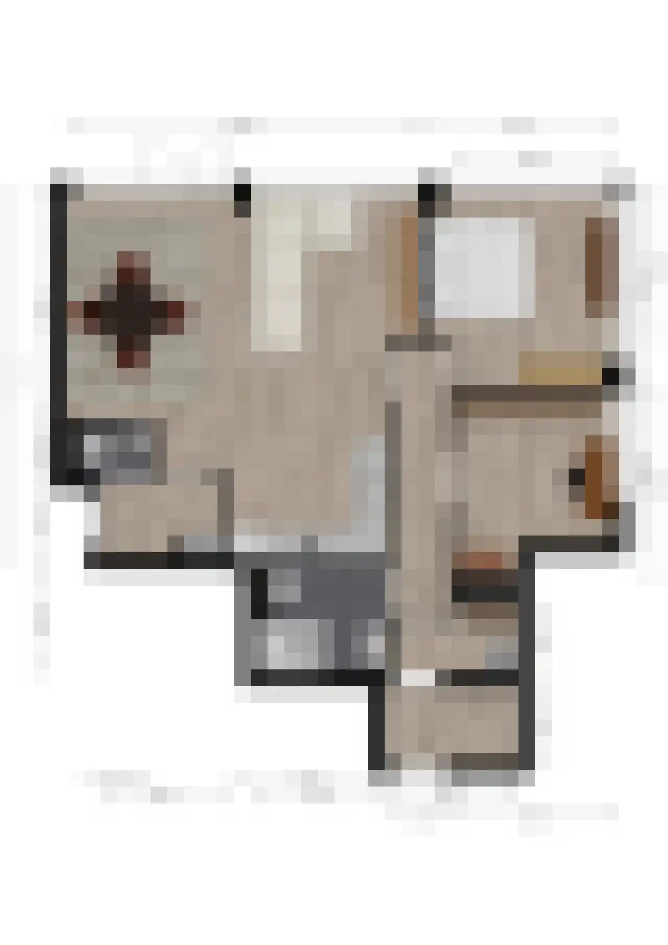 Kastanjelaan 14 c Ridderkerk thumbnail 42