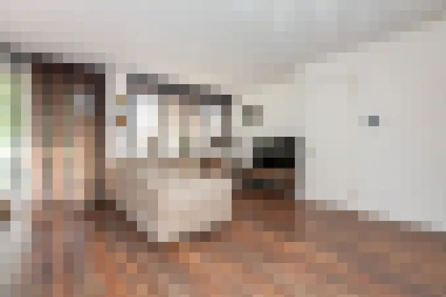 Kastanjelaan 14 c Ridderkerk thumbnail 7