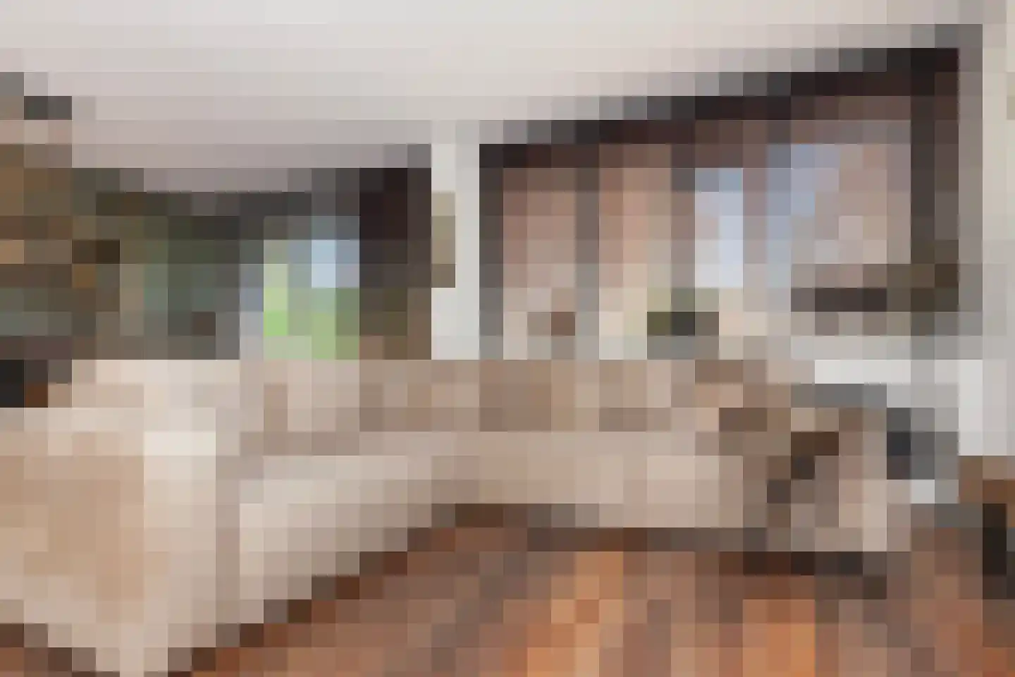 Kastanjelaan 14 c Ridderkerk thumbnail 8