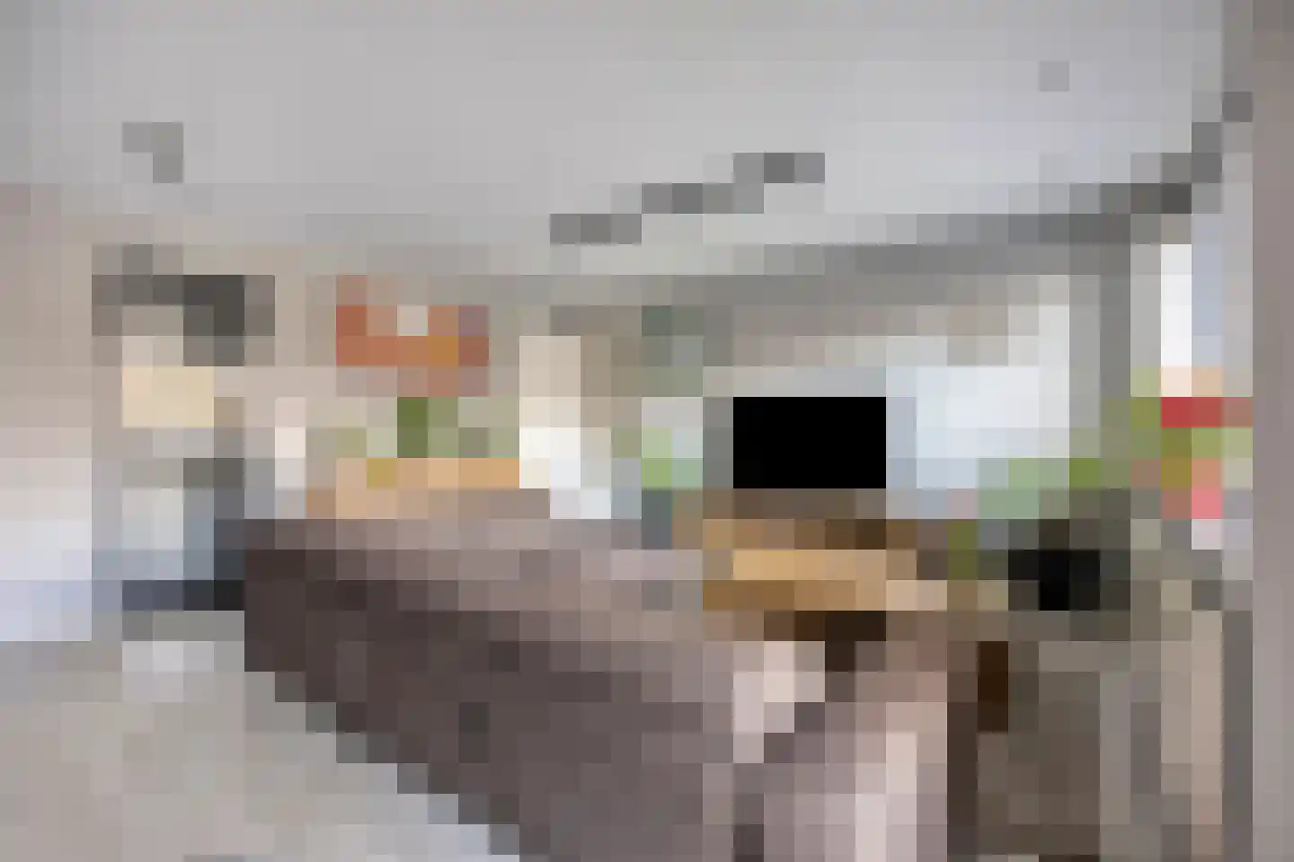 Kastanjelaan 14 d Ridderkerk thumbnail 10