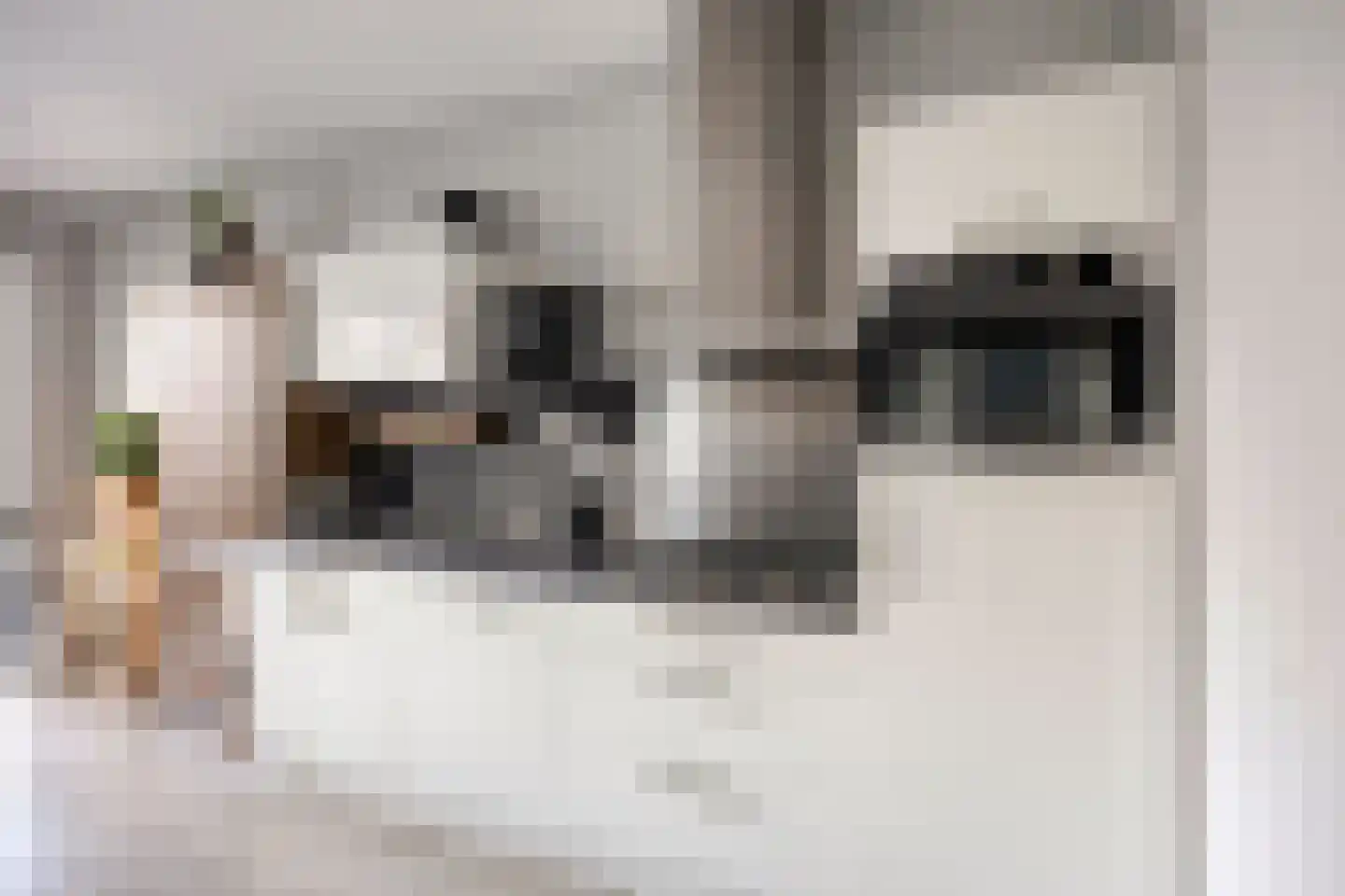 Kastanjelaan 14 d Ridderkerk thumbnail 11