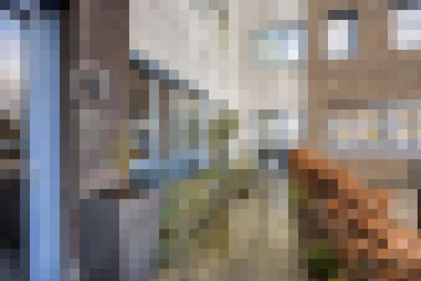 Kastanjelaan 14 d Ridderkerk thumbnail 21