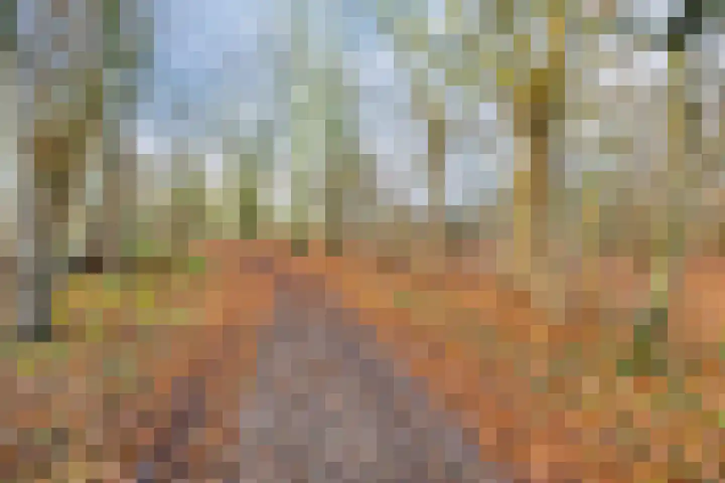 Kastanjelaan 14 d Ridderkerk thumbnail 27