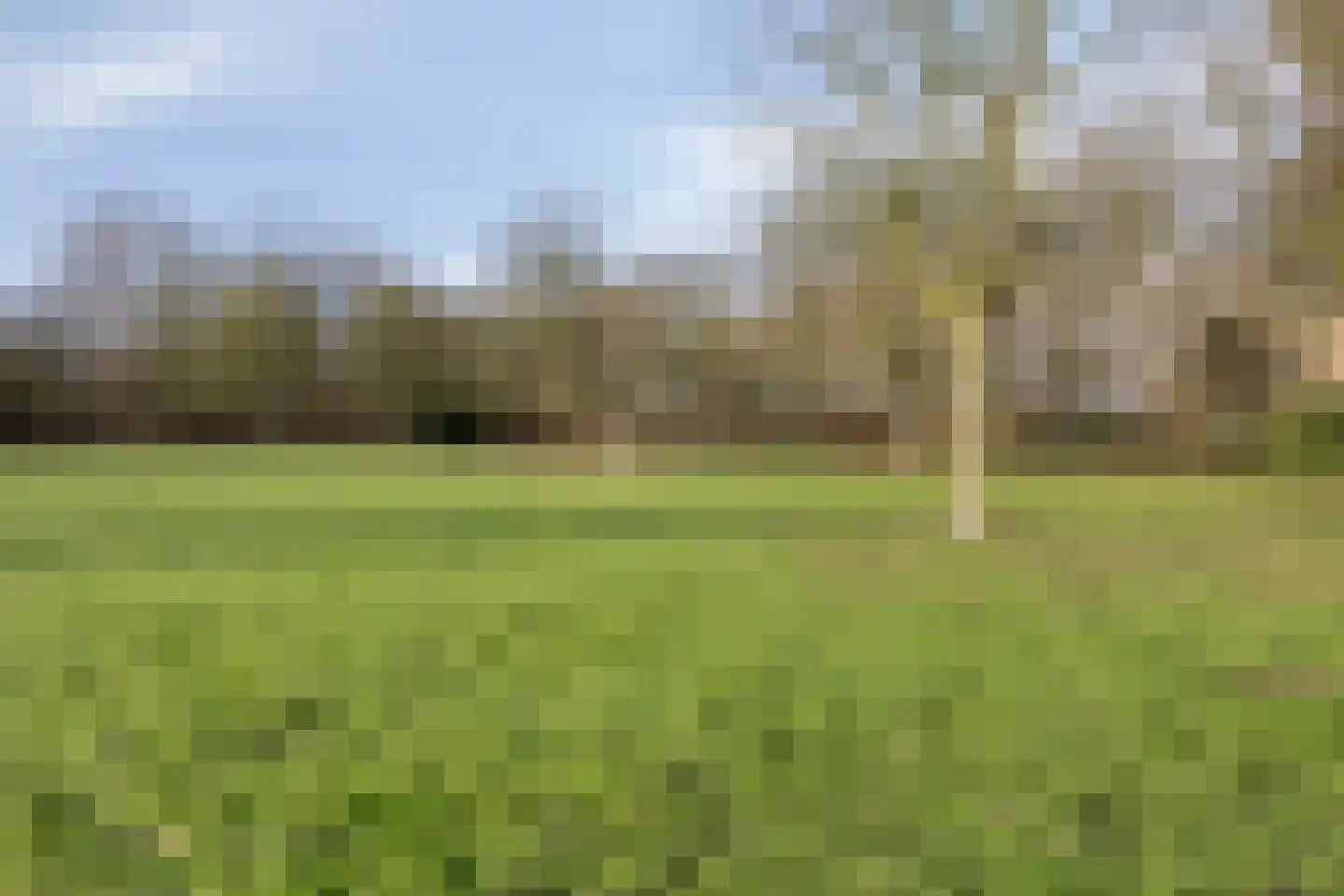 Kastanjelaan 14 d Ridderkerk thumbnail 29