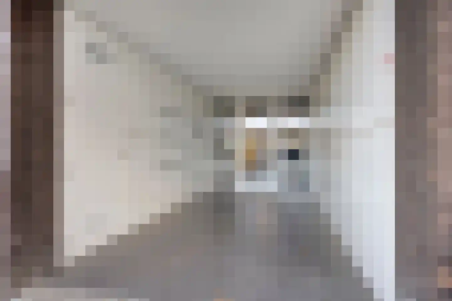 Kastanjelaan 14 d Ridderkerk thumbnail 4