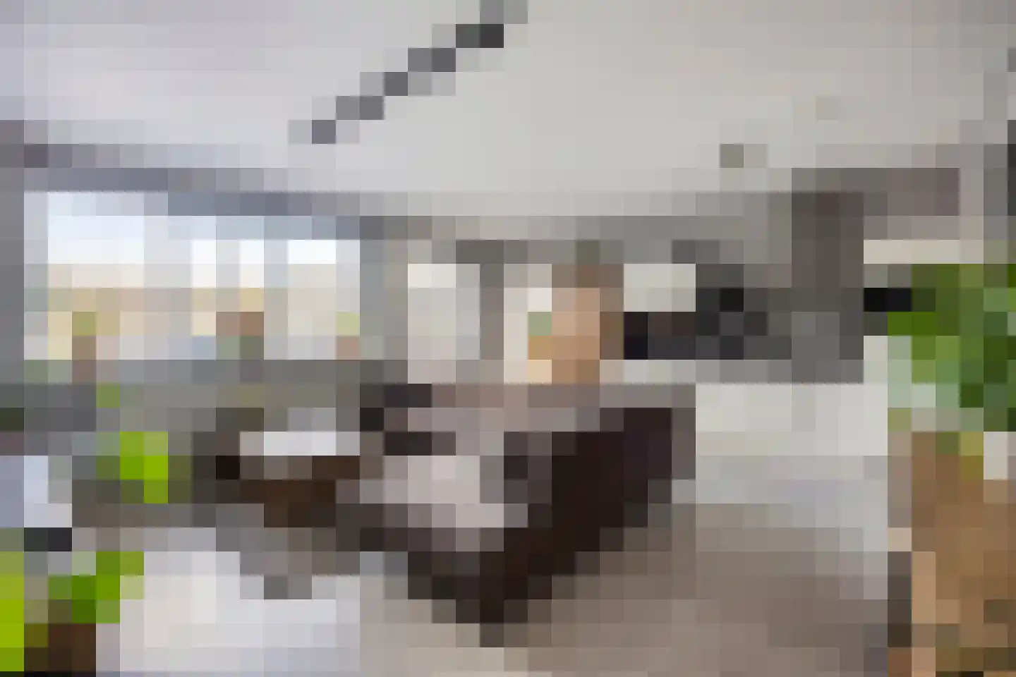 Kastanjelaan 14 d Ridderkerk thumbnail 8