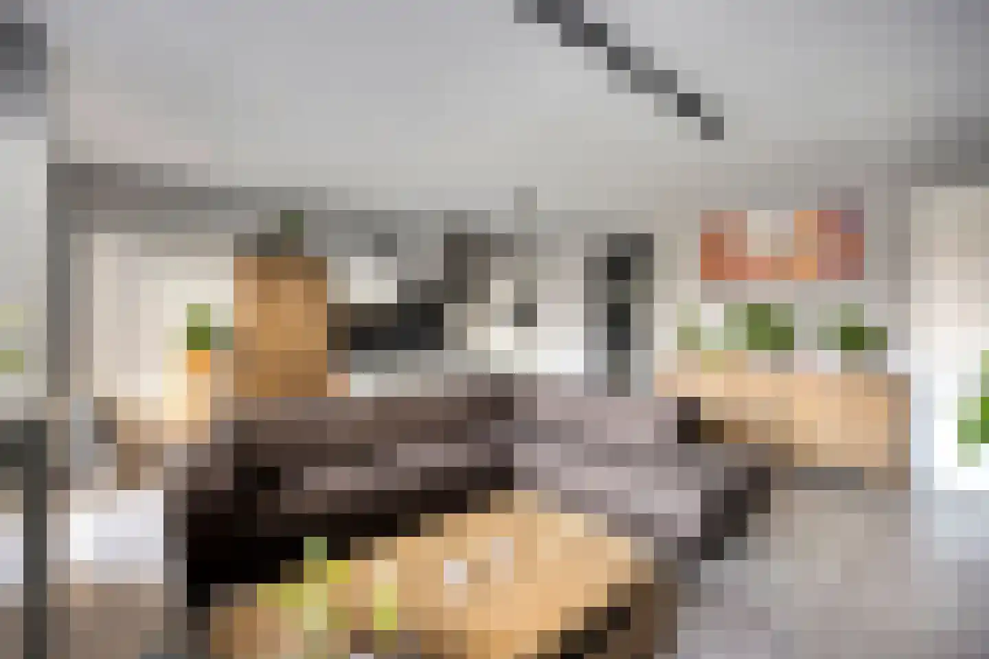 Kastanjelaan 14 d Ridderkerk thumbnail 9