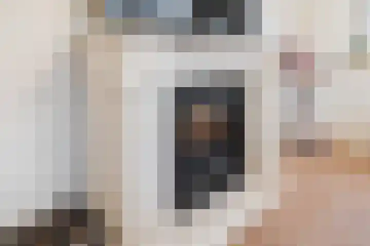 Kastanjelaan 14 f Ridderkerk thumbnail 13