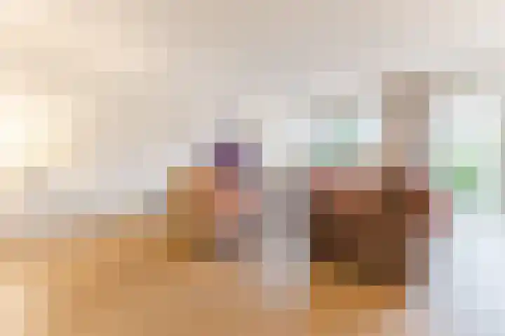 Kastanjelaan 14 f Ridderkerk thumbnail 14