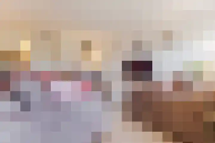 Kastanjelaan 14 f Ridderkerk thumbnail 16