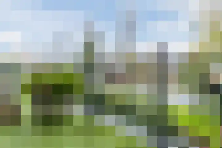 Kastanjelaan 14 f Ridderkerk thumbnail 18