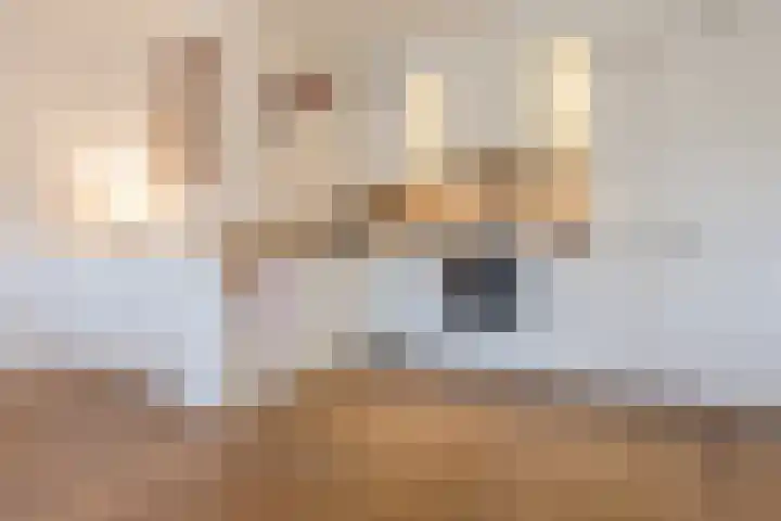 Kastanjelaan 14 f Ridderkerk thumbnail 19