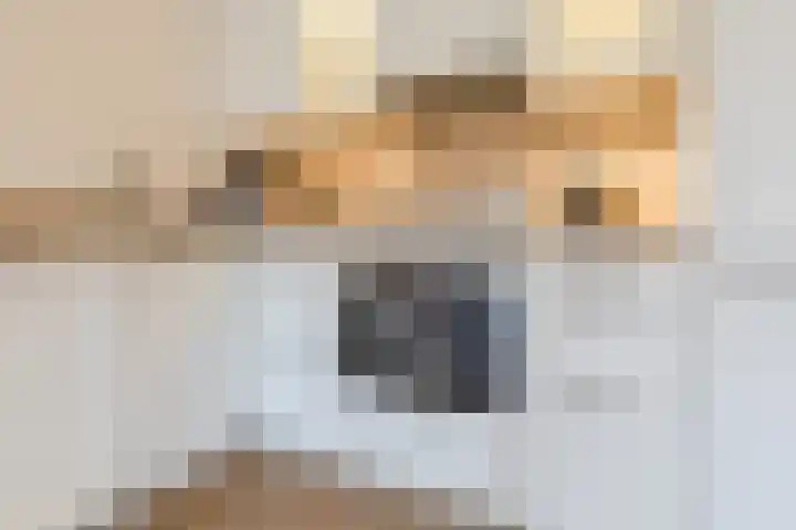 Kastanjelaan 14 f Ridderkerk thumbnail 20
