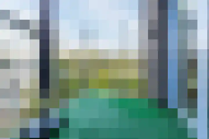 Kastanjelaan 14 f Ridderkerk thumbnail 28