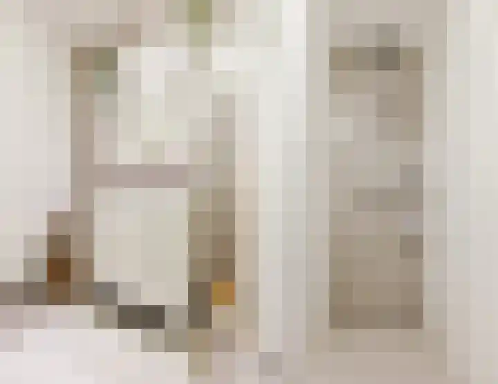 Kastanjelaan 14 f Ridderkerk thumbnail 33