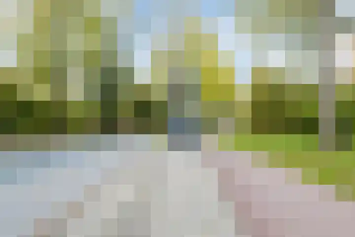 Kastanjelaan 14 f Ridderkerk thumbnail 37