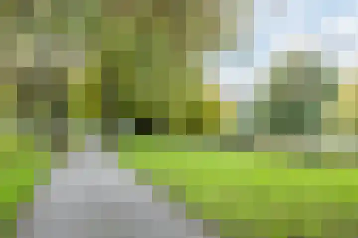 Kastanjelaan 14 f Ridderkerk thumbnail 38