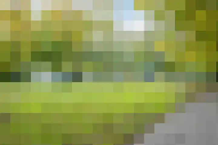 Kastanjelaan 14 f Ridderkerk thumbnail 39