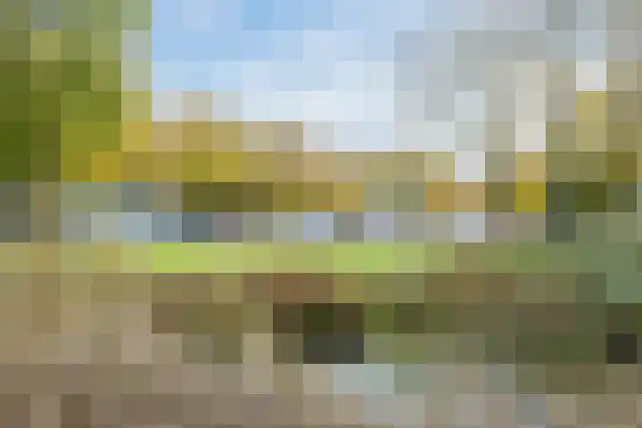 Kastanjelaan 14 f Ridderkerk thumbnail 40