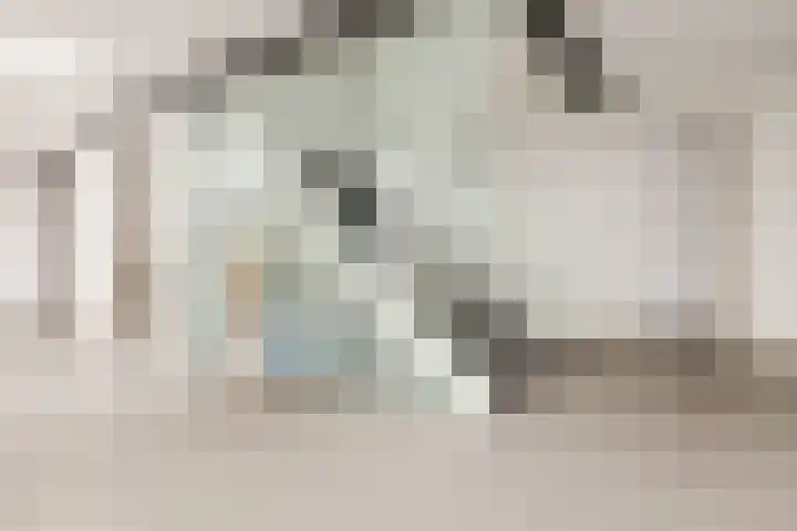 Kastanjelaan 14 f Ridderkerk thumbnail 7