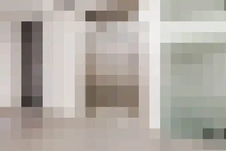 Kastanjelaan 14 f Ridderkerk thumbnail 8