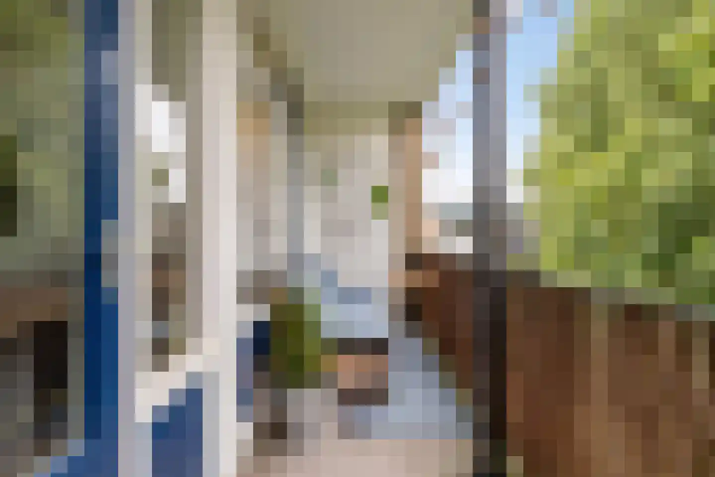 Kastanjelaan 14 Groningen thumbnail 18