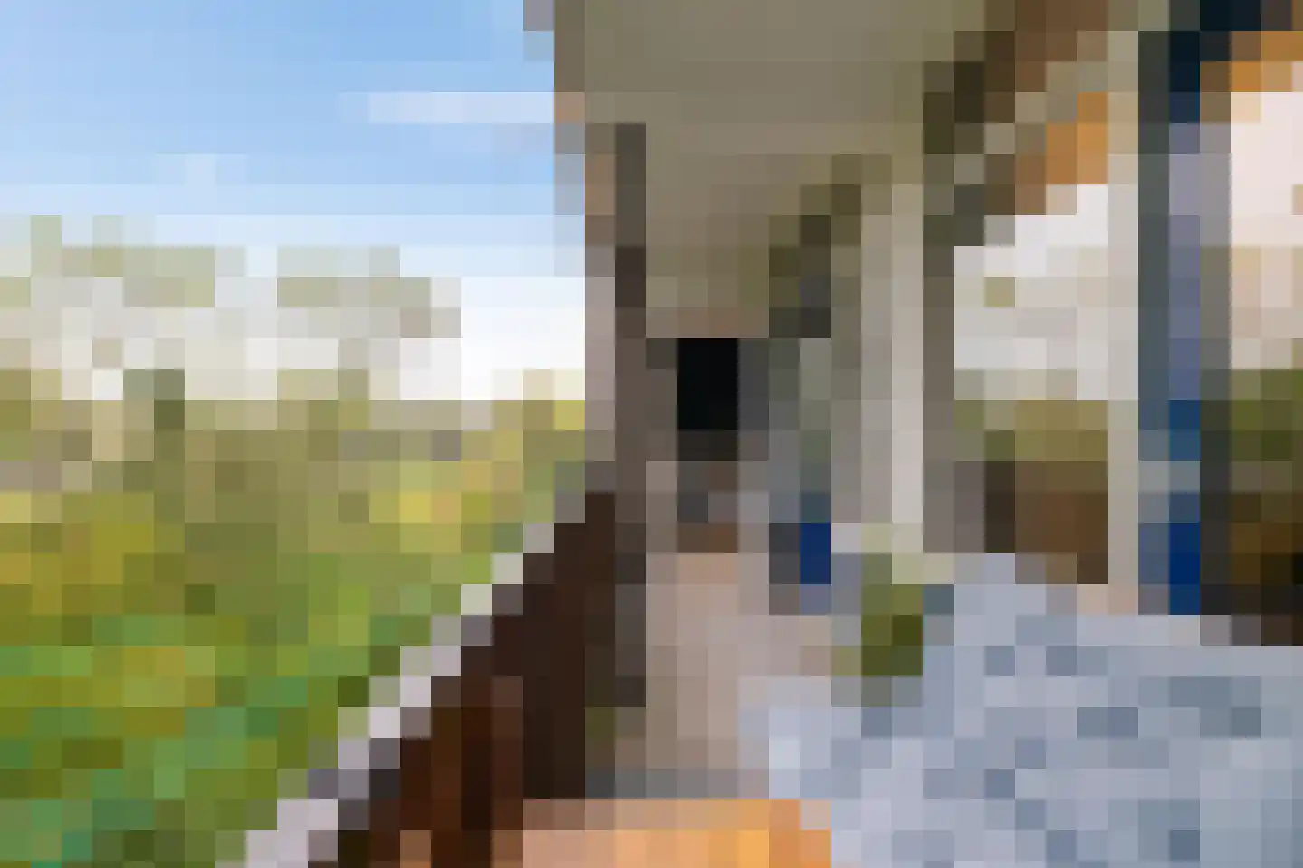 Kastanjelaan 14 Groningen thumbnail 19