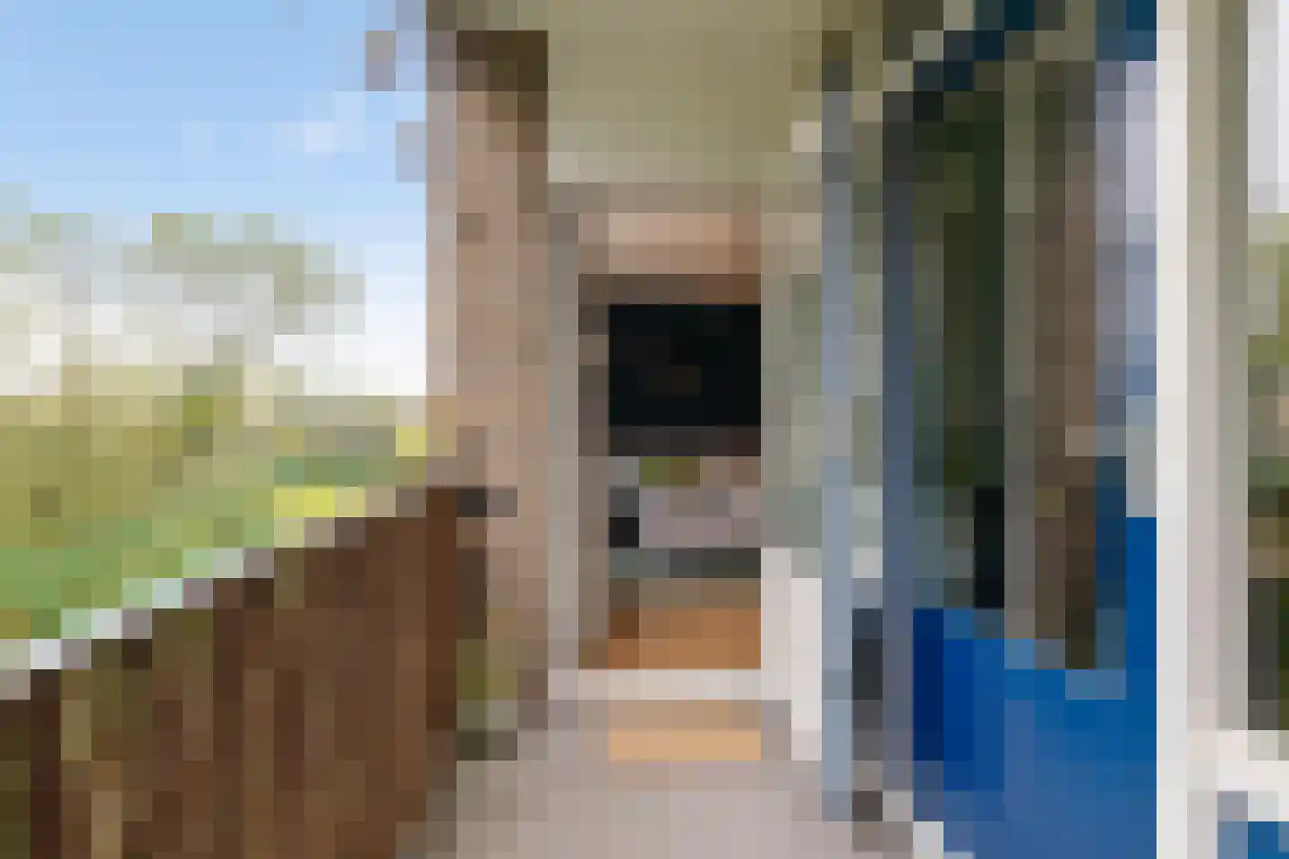 Kastanjelaan 14 Groningen thumbnail 20