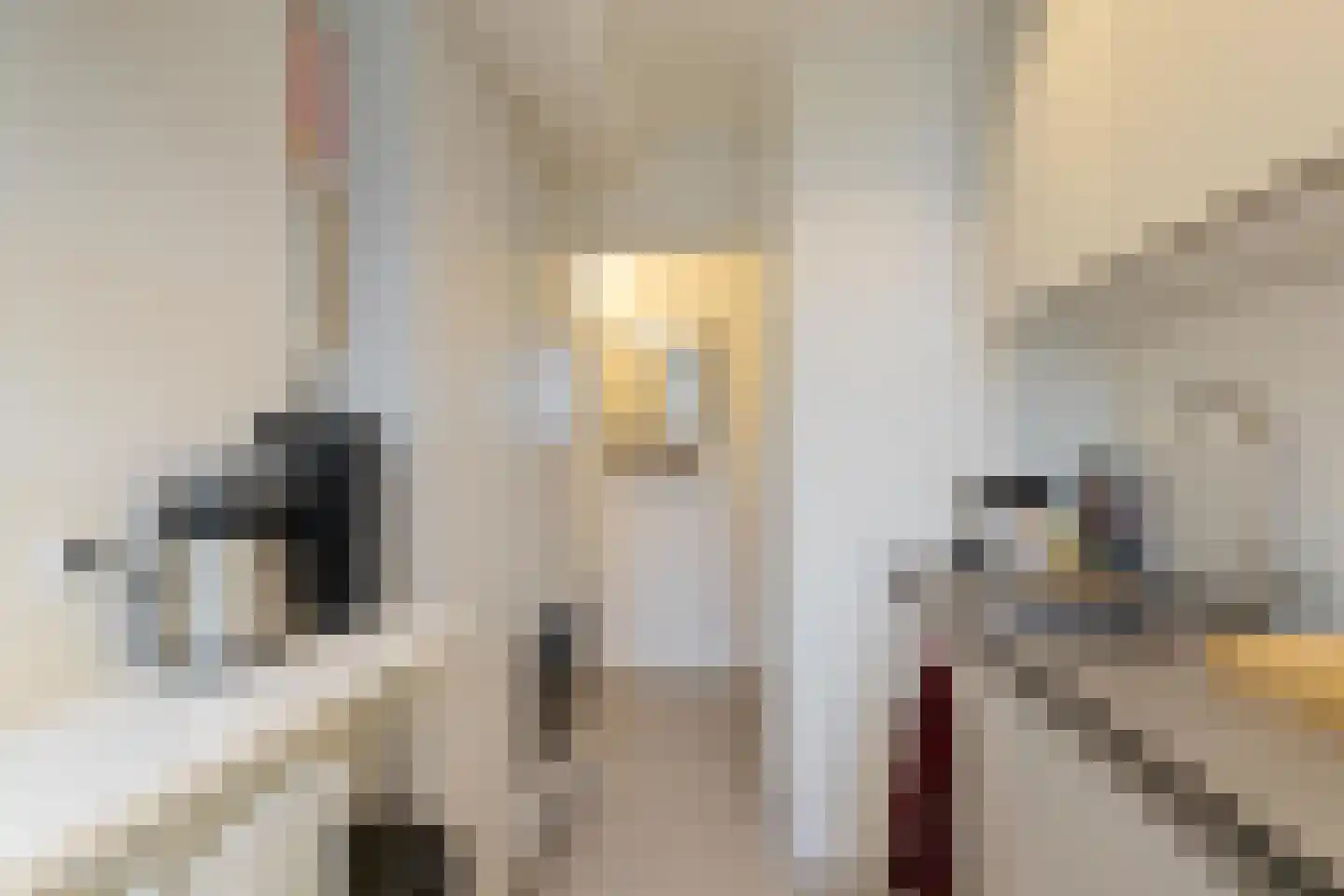Kastanjelaan 14 Groningen thumbnail 22