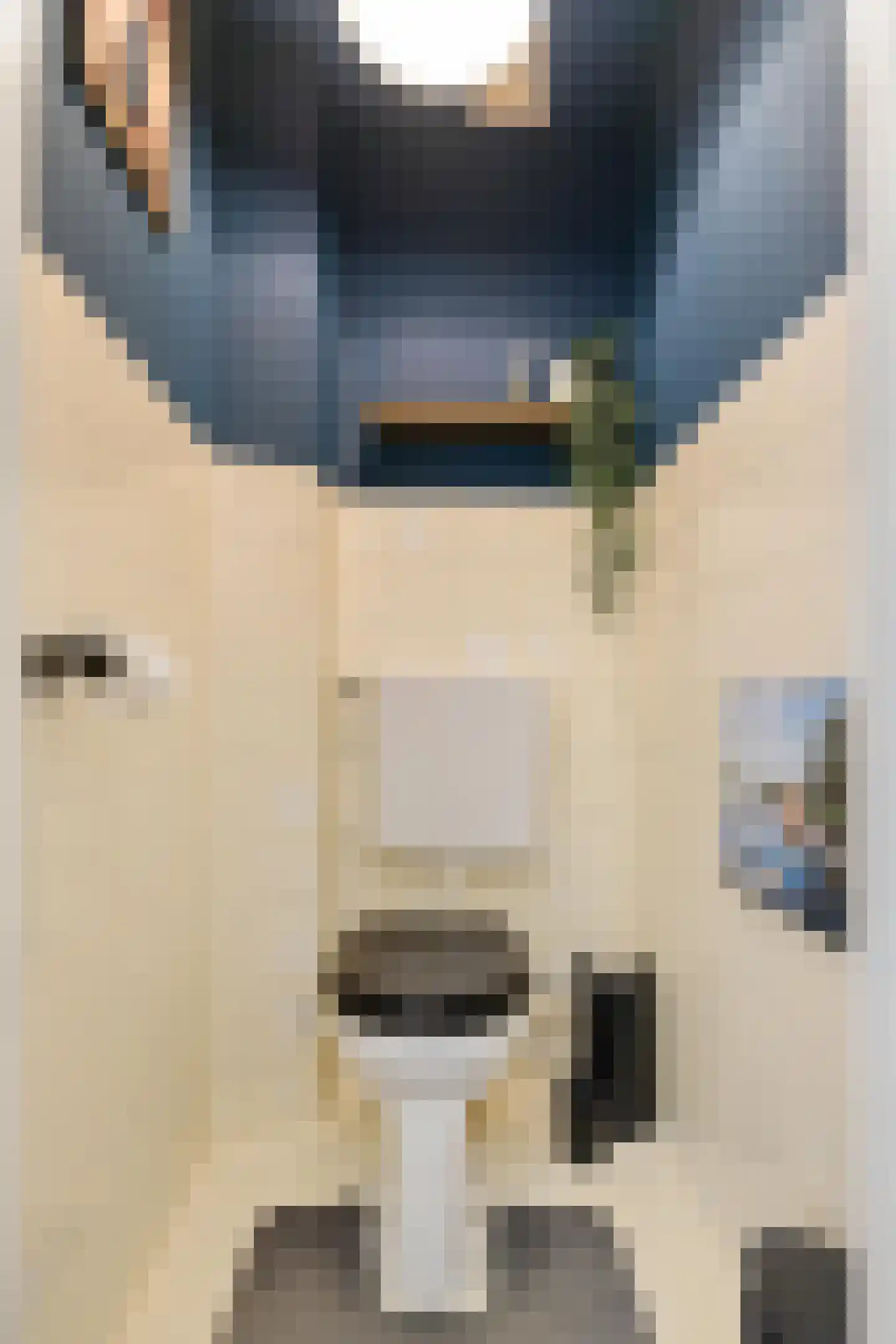 Kastanjelaan 14 Groningen thumbnail 36